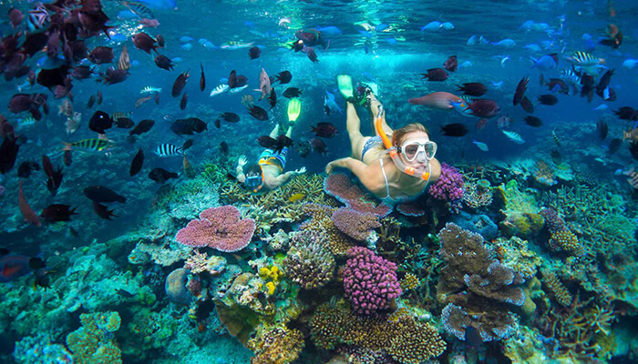 header-vanuatu-tourism-snorkeling